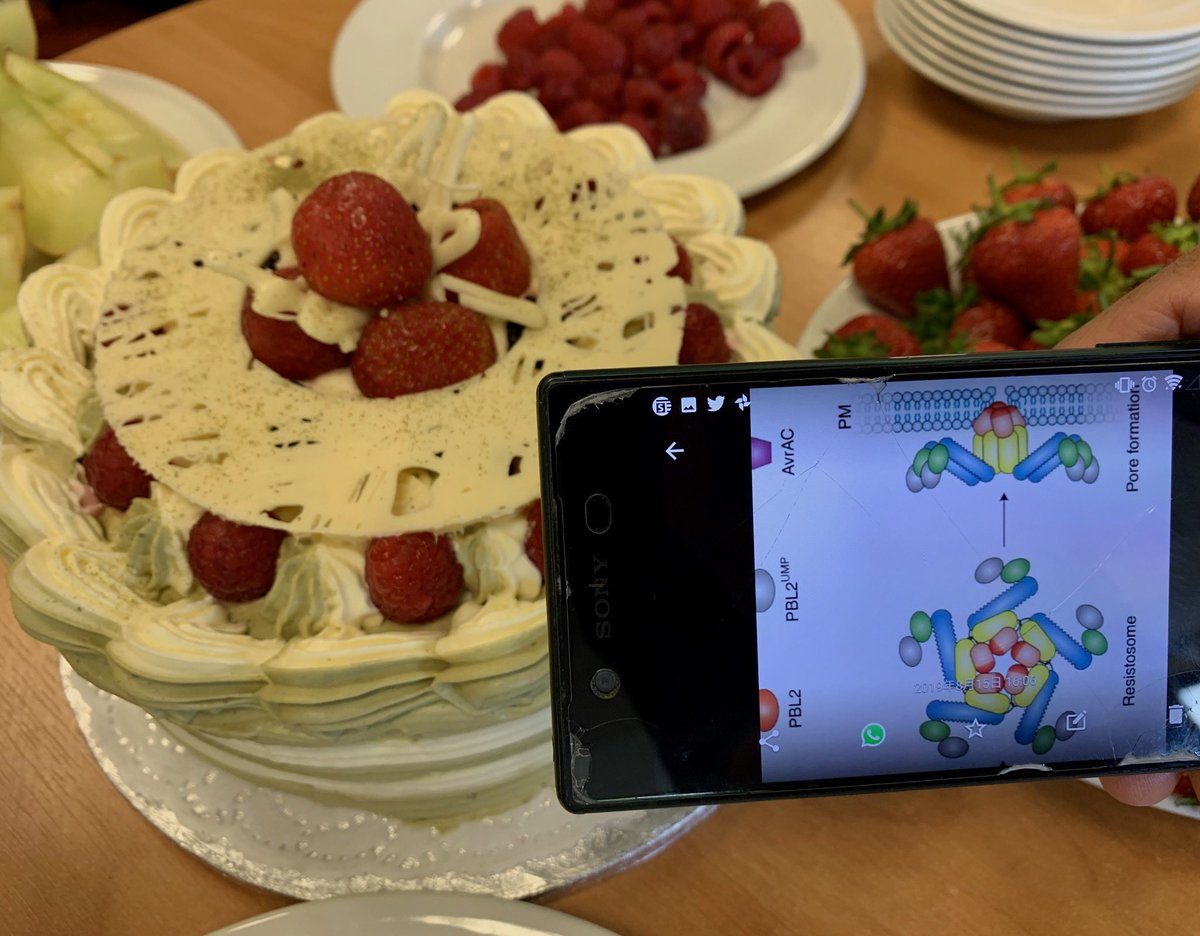 Resistosome cake