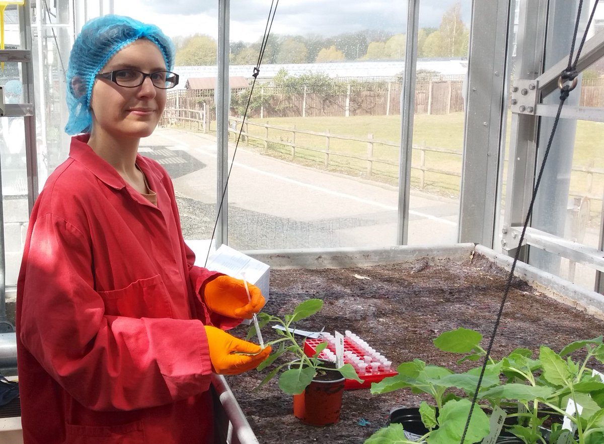 Clemence Marchal in the glasshouse