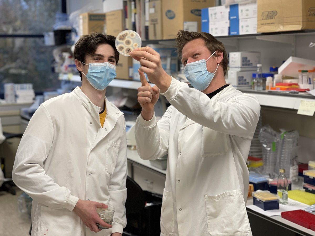 Paul Mock and Thorsten Langner